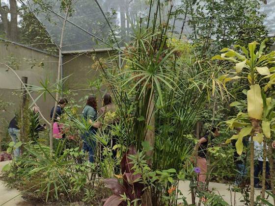 Jardim interno do Borboletário, com plantas exuberantes e visitantes ao fundo